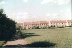 1961