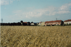 Kornfeld-1962