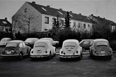 VW-Käfer-